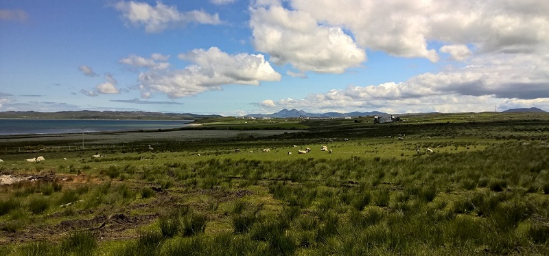 colonsay-gin-pus-of-jura